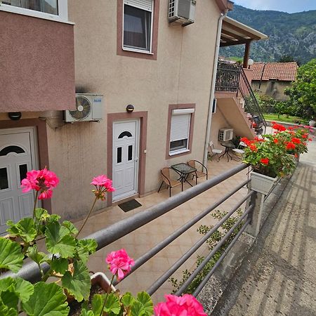 Apartment Aleksandar Kotor Bagian luar foto